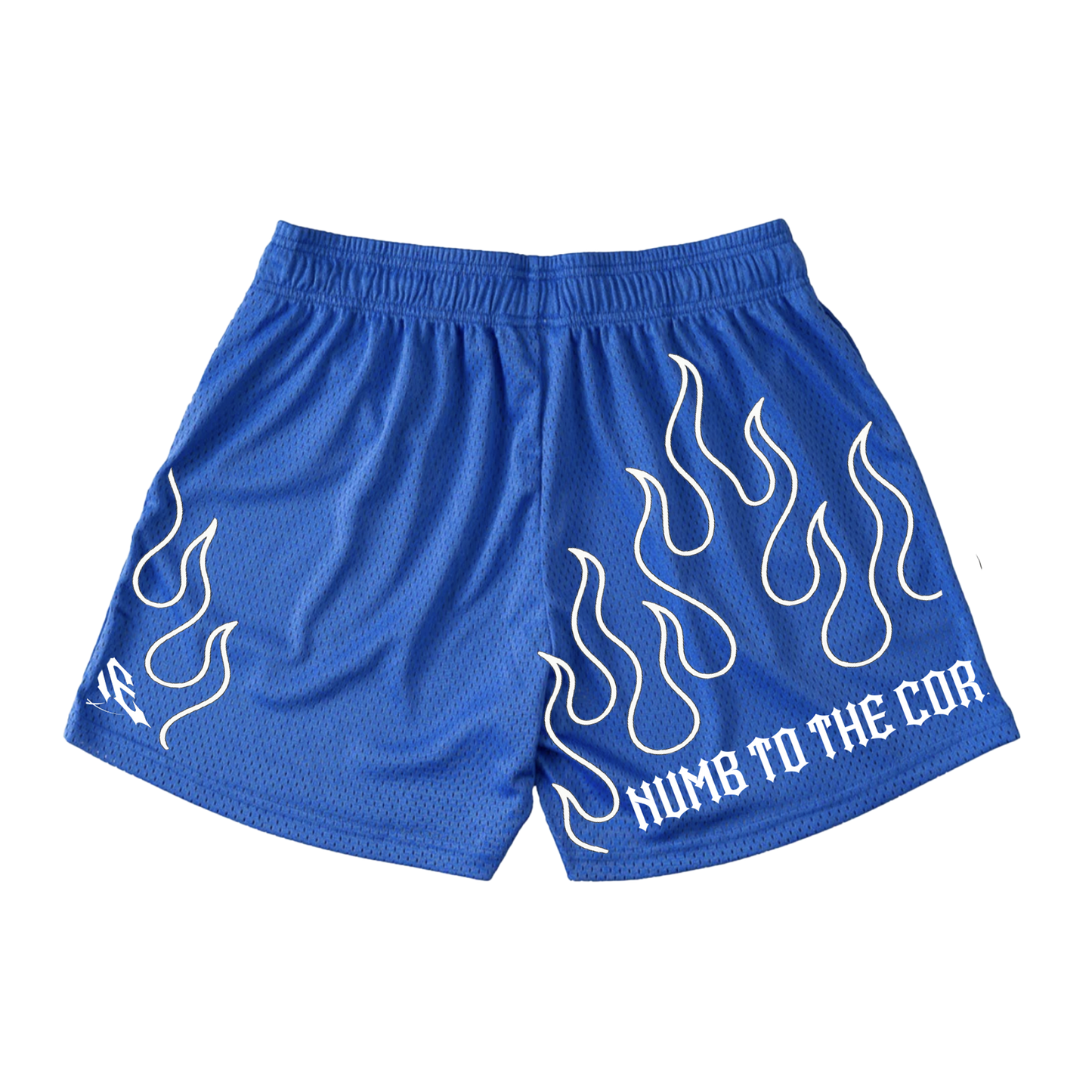 BLUE "FLAME" MESH SHORTS