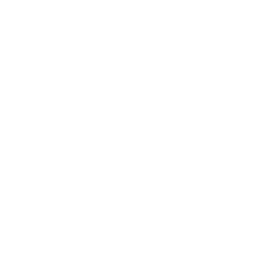 "NUMB!" Rear Banner