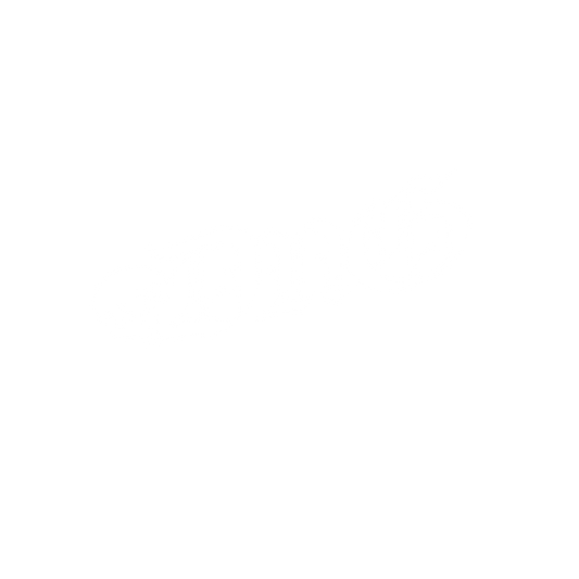 "DNG SKULL" Front Banner