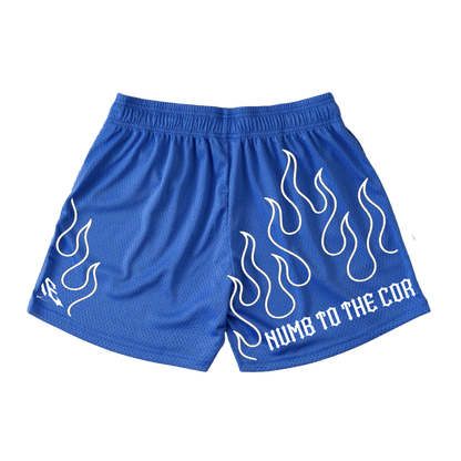 BLUE "FLAME" MESH SHORTS